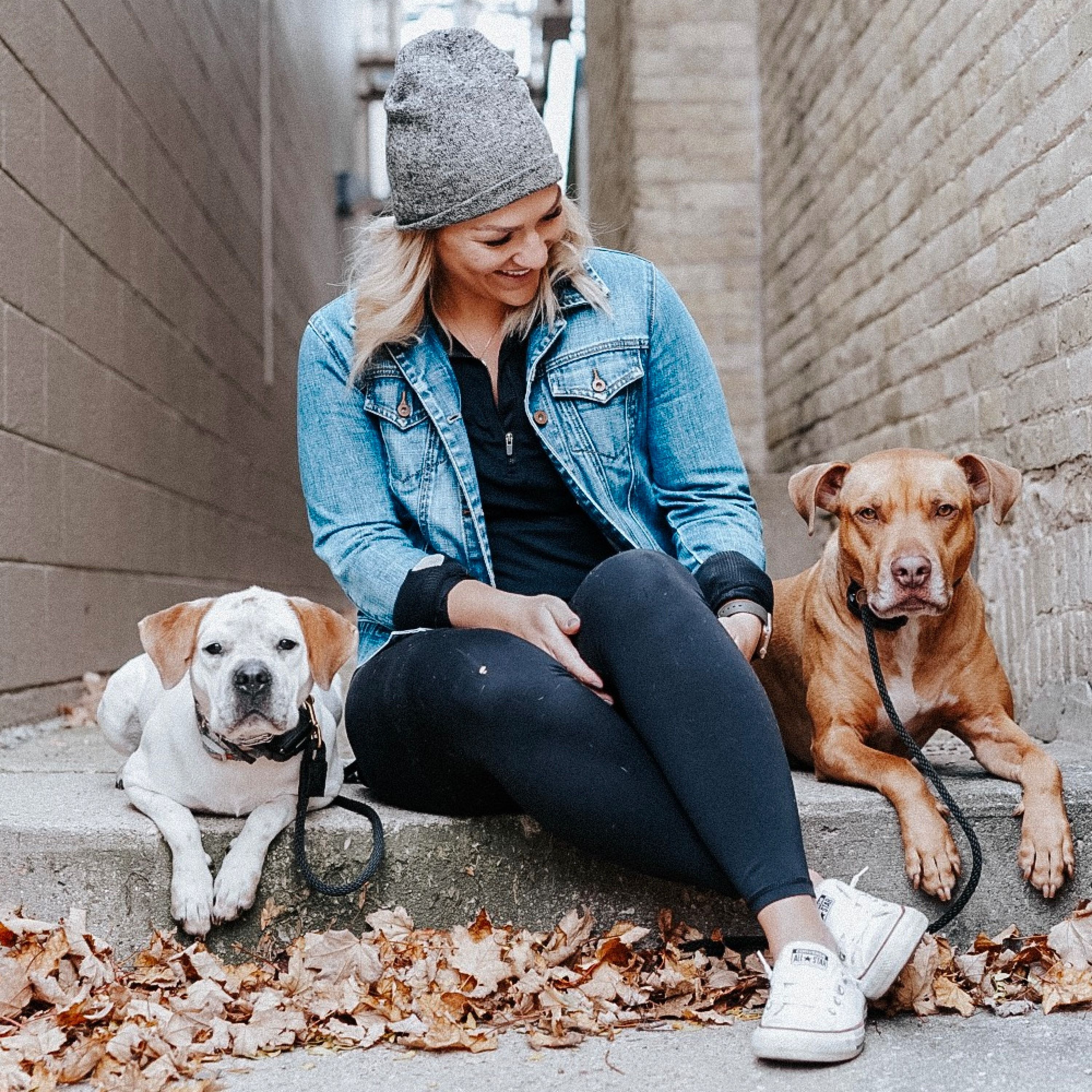 Starting a Balanced Dog Training Business - Kaitlin Stankowski