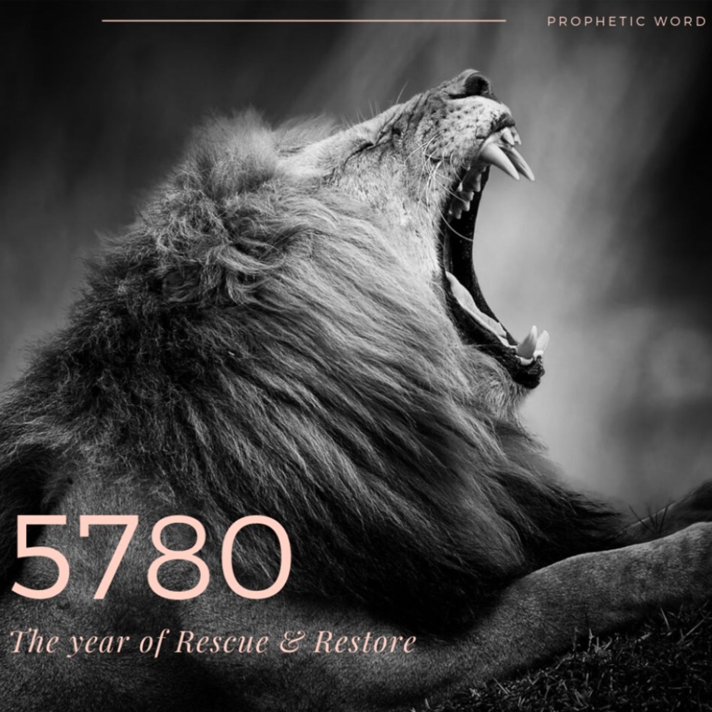 Open Your Mouth Wide (Year of  